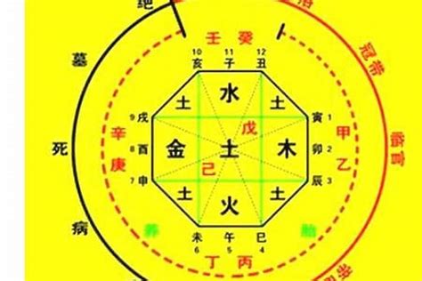 如何知道自己八字屬性|生辰八字算命、五行喜用神查詢（免費測算）